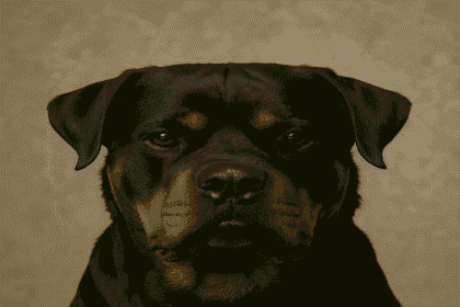 Most Dangerous Dog Breeds 2025